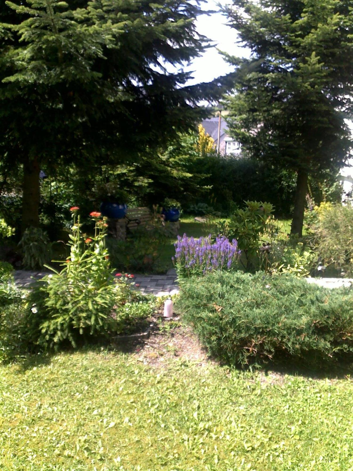 Haus Julius, Bis Zu 8 Gaesten Willingen (Upland)